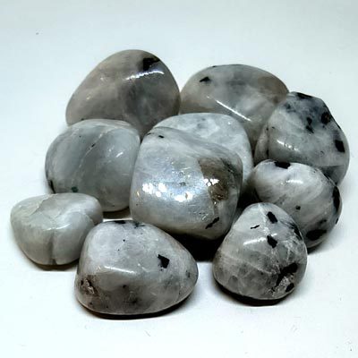 A collection of polished rainbow moonstone pieces with soft iridescent flashes, displayed on a neutral background.